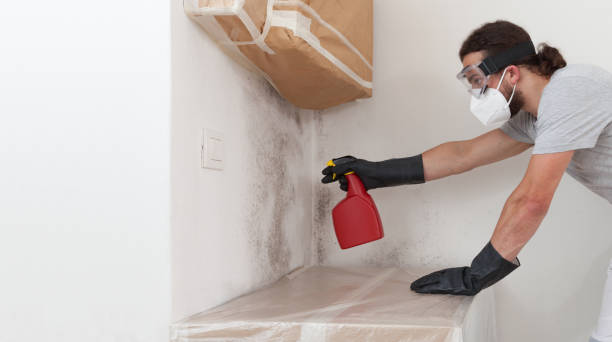 Professional Crawl Space Mold Removal technician working in Woodville, VA