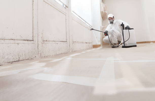 24/7 Emergency Crawl Space Mold Removal experts in Woodville, VA
