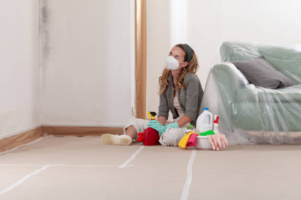 Reliable Crawl Space Mold Removal contractor in Woodville, VA by WQB Mold Removal